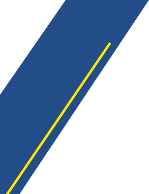 drivschol